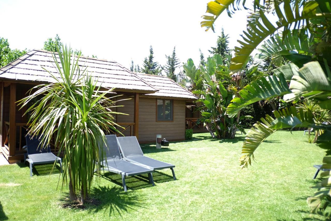 Playa Montroig Camping Resort Esterno foto